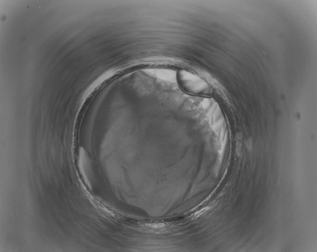 X0000081441229200702021709
