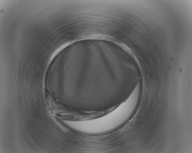 X0000081441230200702021709