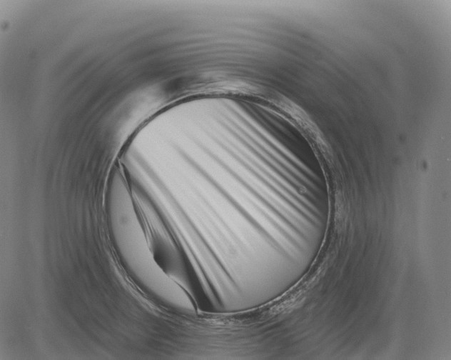 X0000081441234200702021709