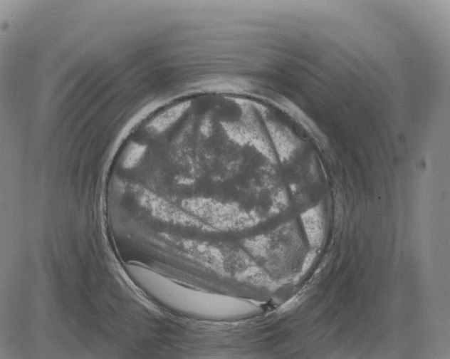X0000081441240200702021709