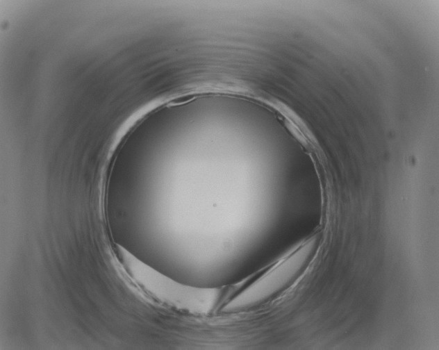 X0000081441246200702021709