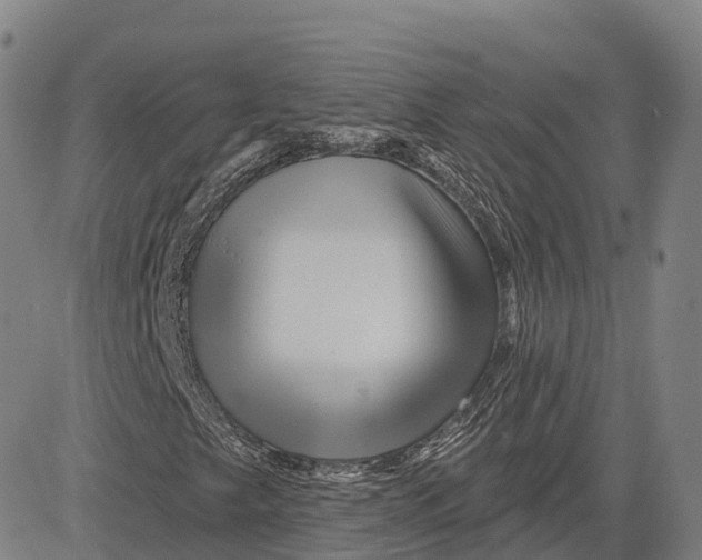 X0000081441249200702021709