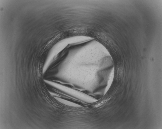 X0000081441250200702021709