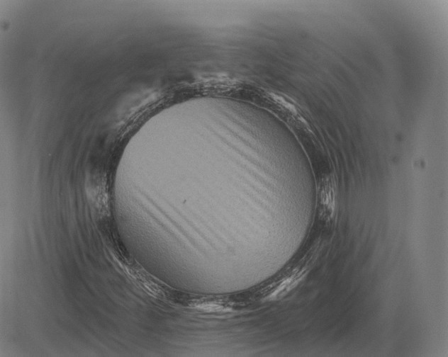 X0000081441252200702021709