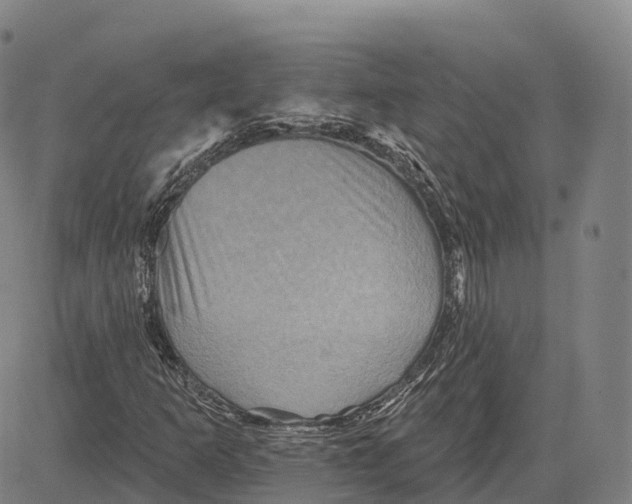 X0000081441253200702021708
