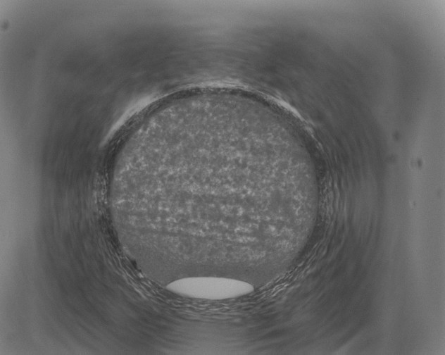 X0000081441255200702021708