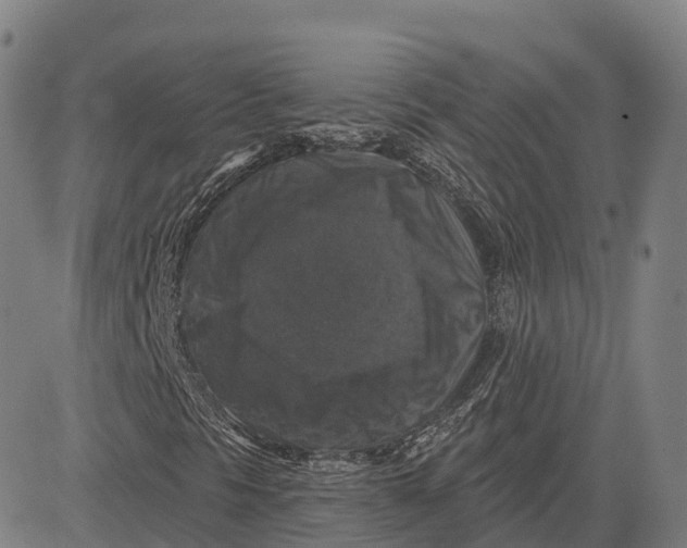 X0000081441297200702021707