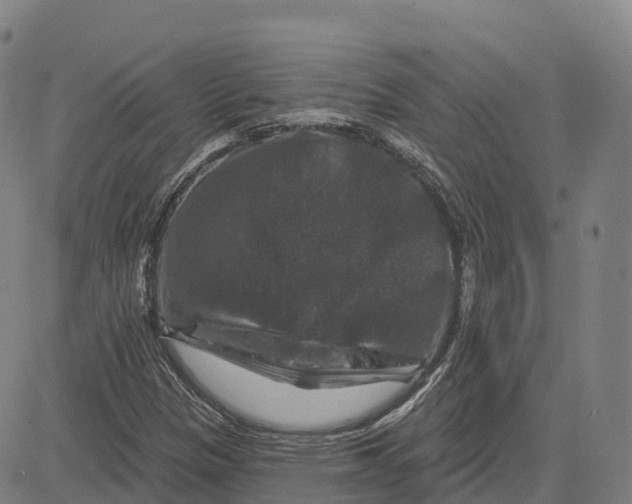 X0000081441305200702021707