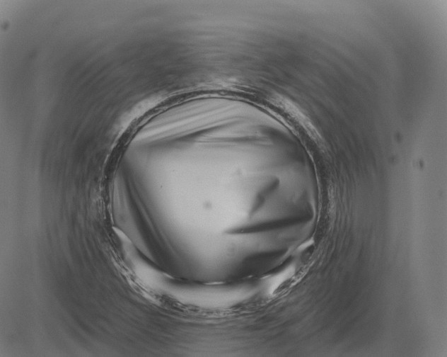 X0000081441308200702021707