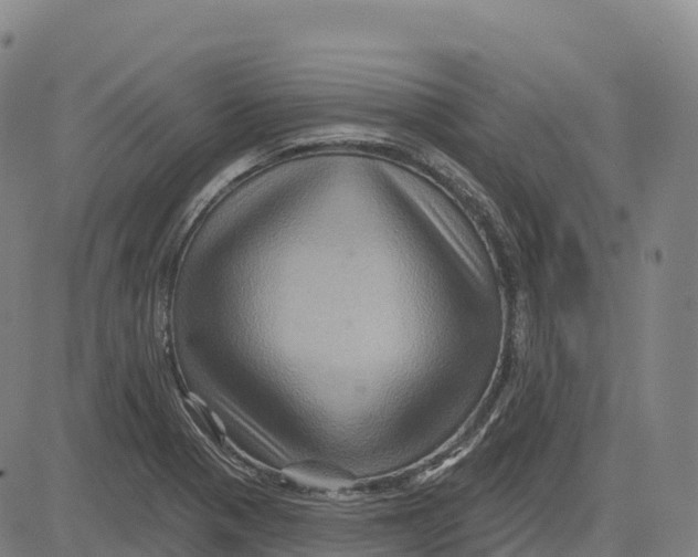 X0000081441321200702021707