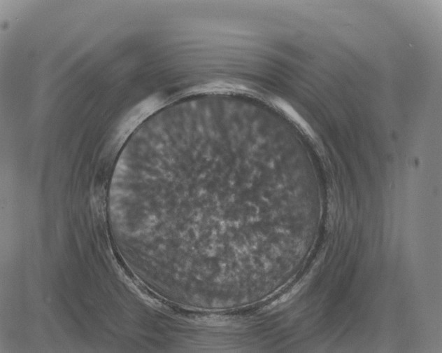 X0000081441329200702021708
