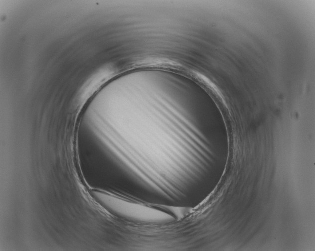 X0000081441330200702021708