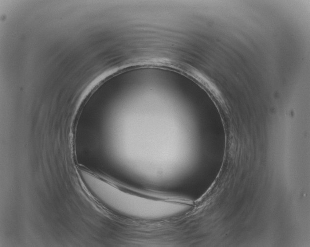X0000081441332200702021708