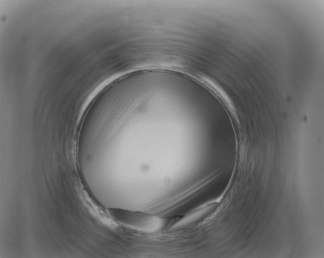 X0000081441340200702021708