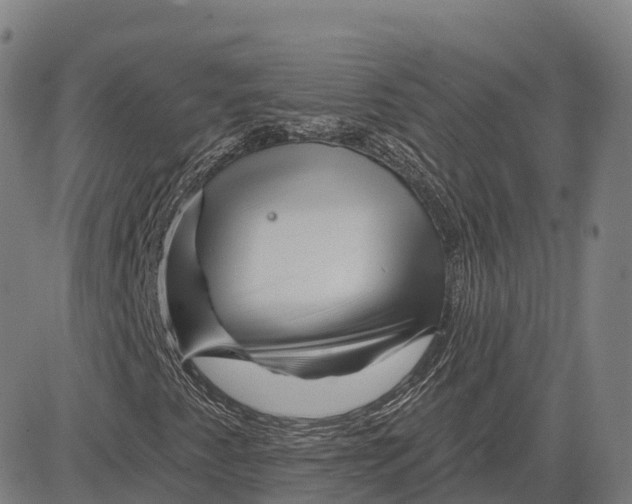 X0000081441345200702021707