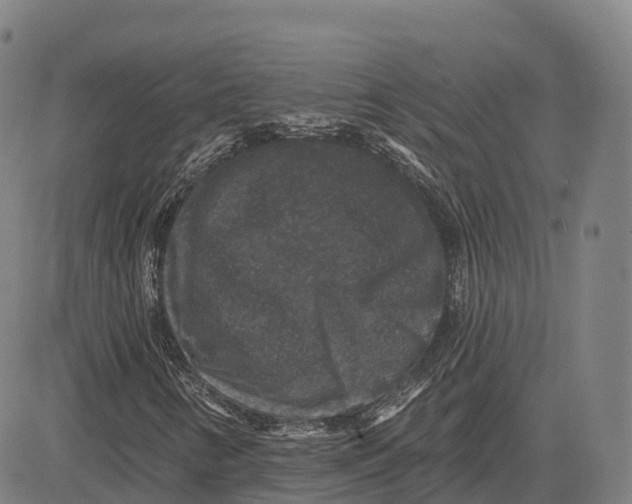 X0000081441346200702021707