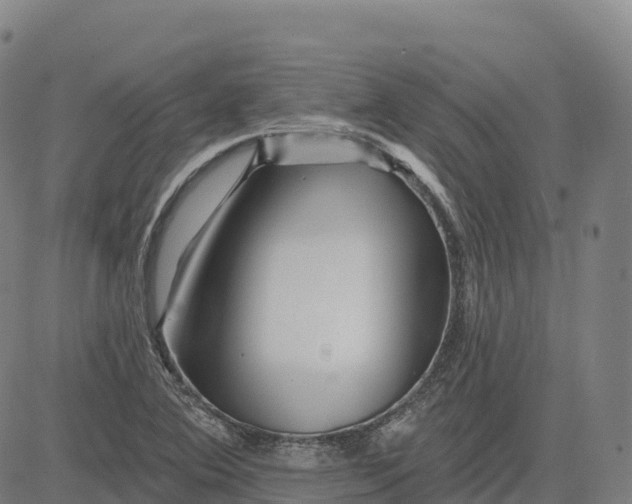 X0000081441364200702021707