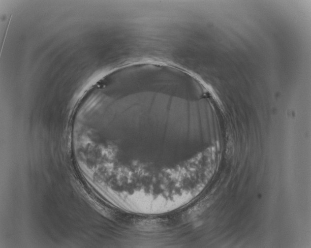 X0000081441367200702021707