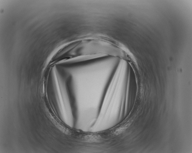X0000081441368200702021707