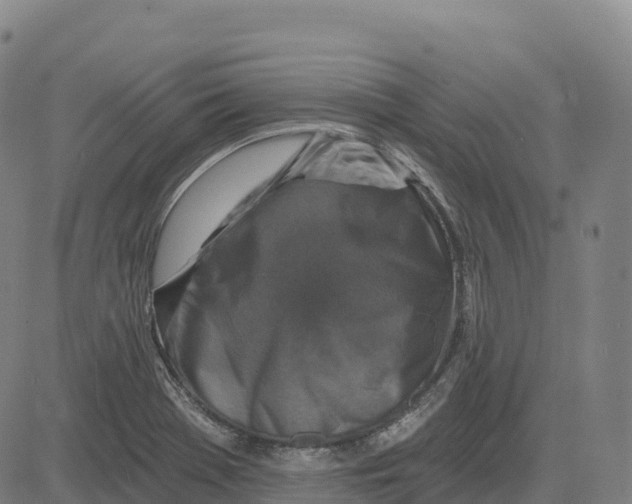 X0000081441369200702021707