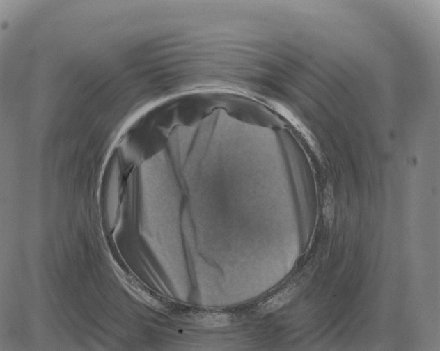 X0000081441372200702021707