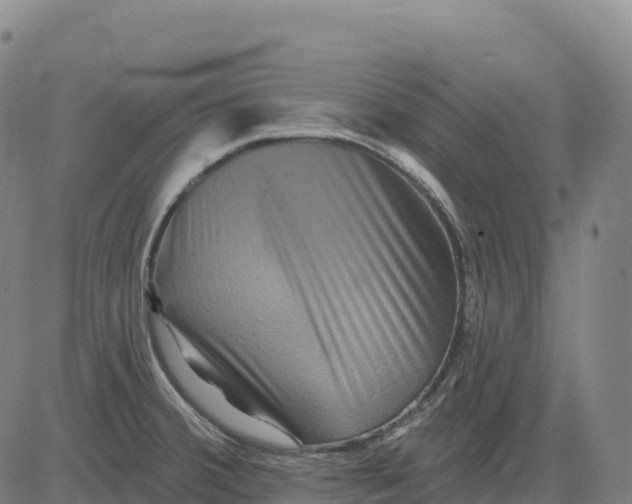 X0000081441380200702021706