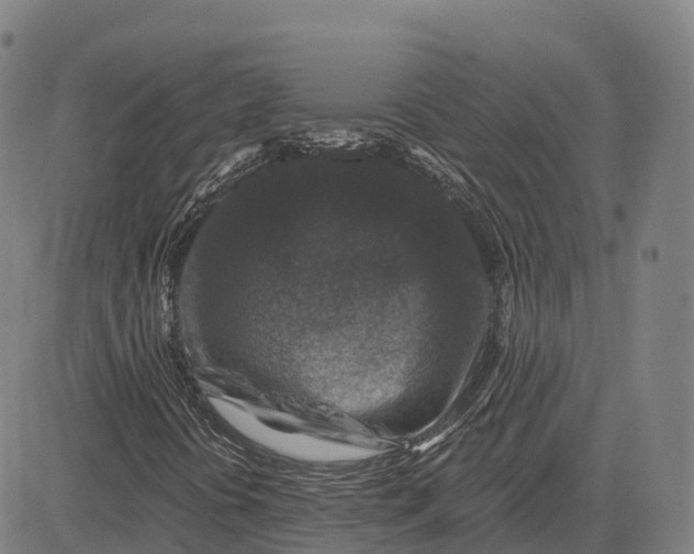X0000081441394200702021705