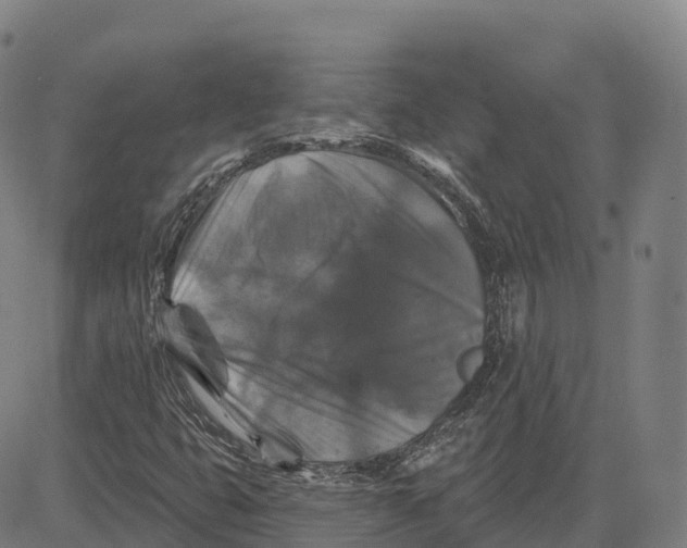 X0000081441399200702021706