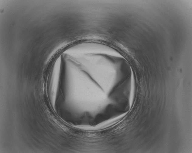 X0000081441408200702021706