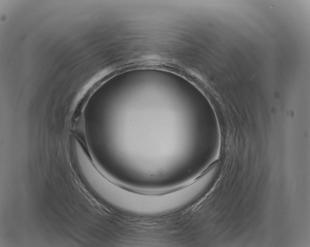 X0000081441410200702021706