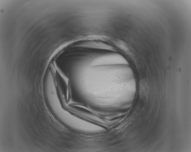 X0000081441412200702021706