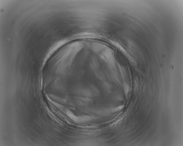 X0000081441413200702021706