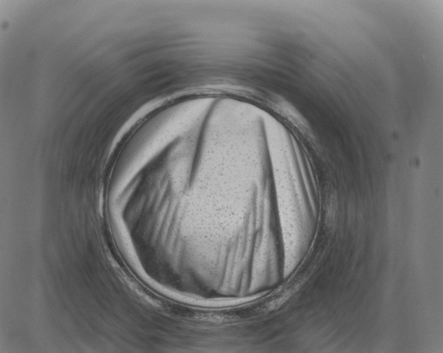 X0000081441420200702021706
