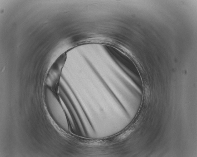 X0000081441426200702021706