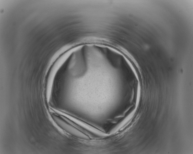 X0000081441437200702021706