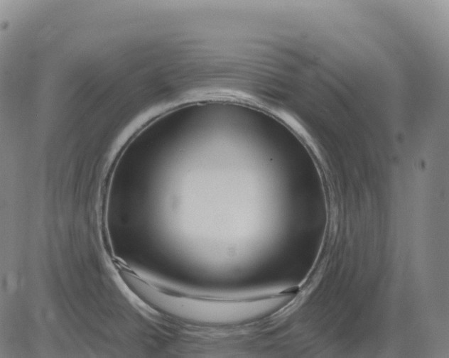 X0000081441438200702021706