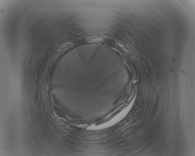 X0000081441441200702021705