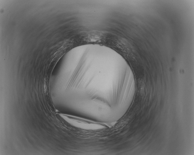 X0000081441442200702021705