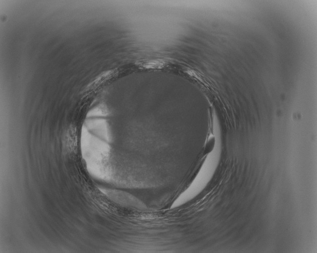 X0000081441443200702021705