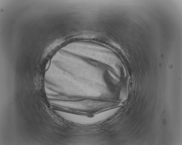 X0000081441448200702021705