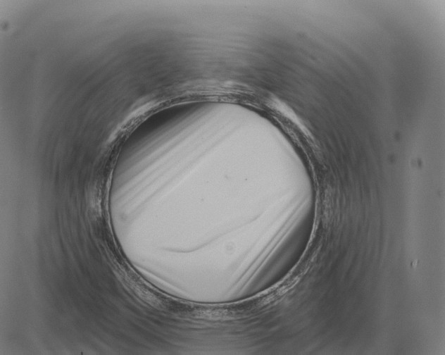X0000081441451200702021705