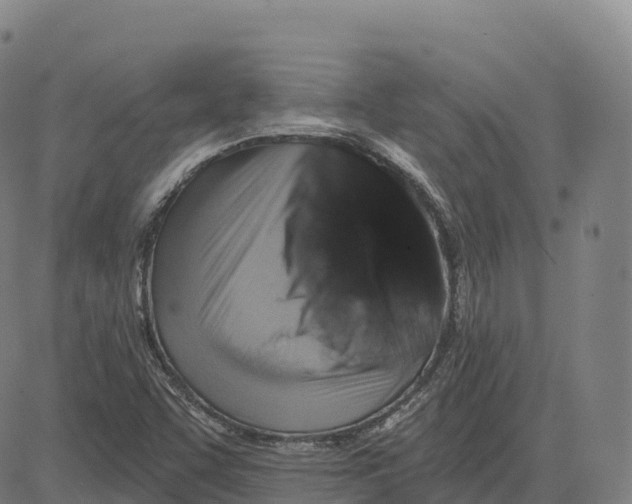 X0000081441455200702021705
