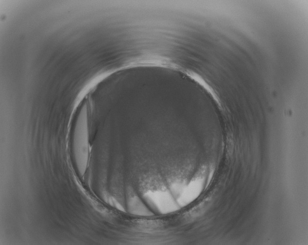 X0000081441469200702021705