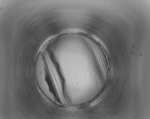 X0000081441473200702021705