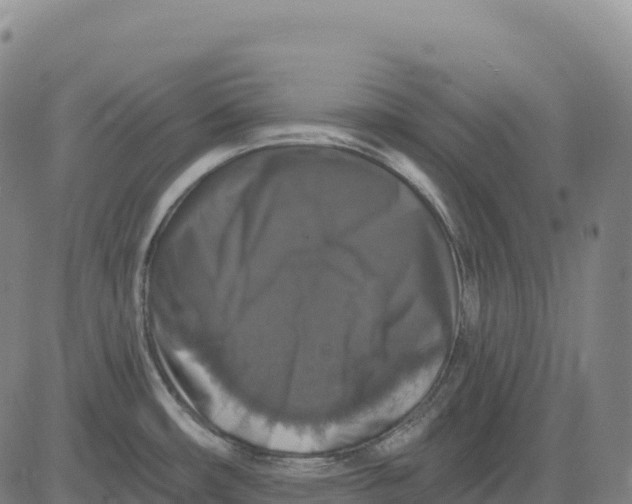 X0000081441482200702021705
