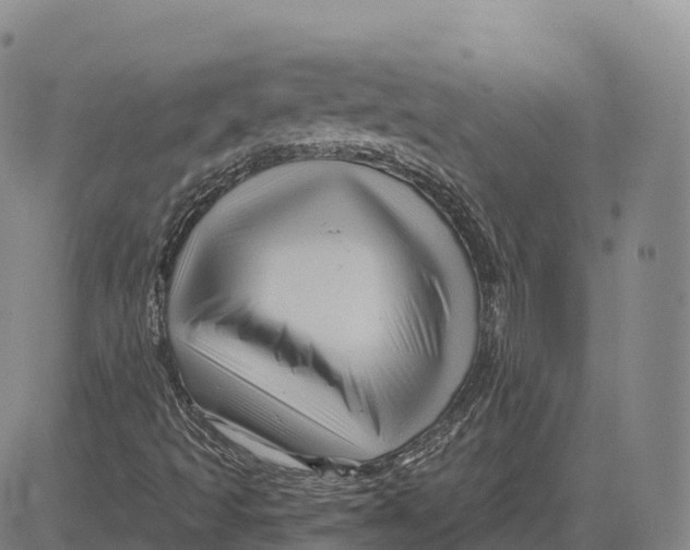 X0000081441493200702021704