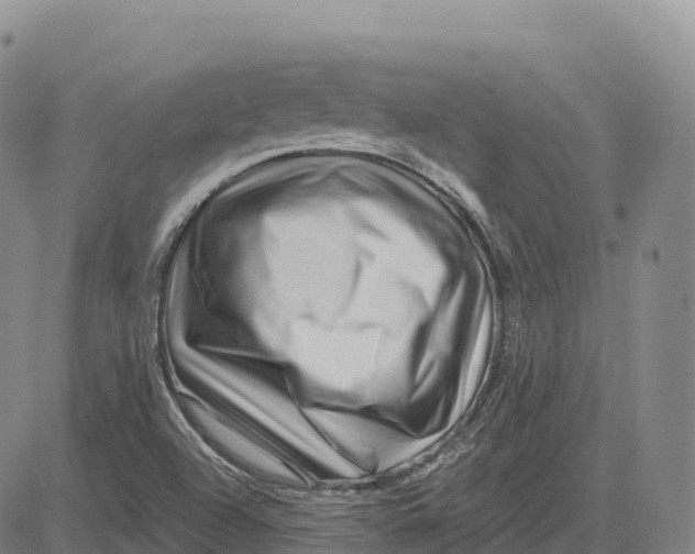 X0000081441504200702021704