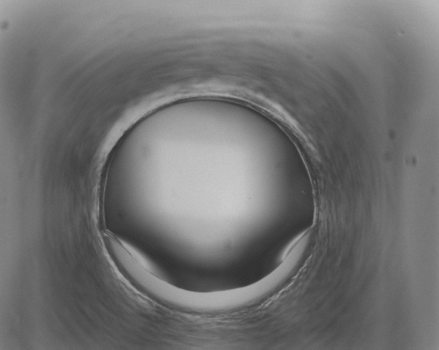 X0000081441512200702021704