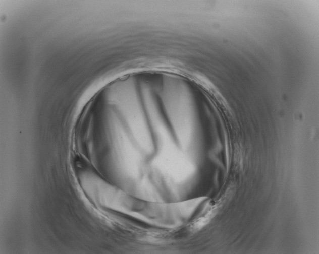 X0000081441520200702021704