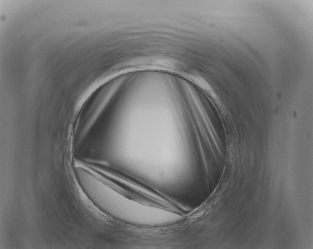 X0000081441524200702021704